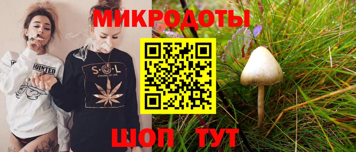 Курчалой  Псилоцибиновые грибы Magic Shrooms  Вход с VPN  Псилоцибиновые грибы Magic Shrooms 
