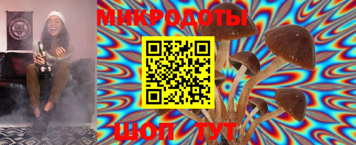 Галлюциногенные грибы Cubensis Курчалой