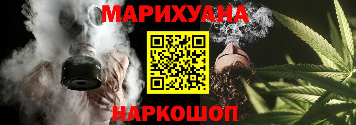 Канабис гибрид Курчалой